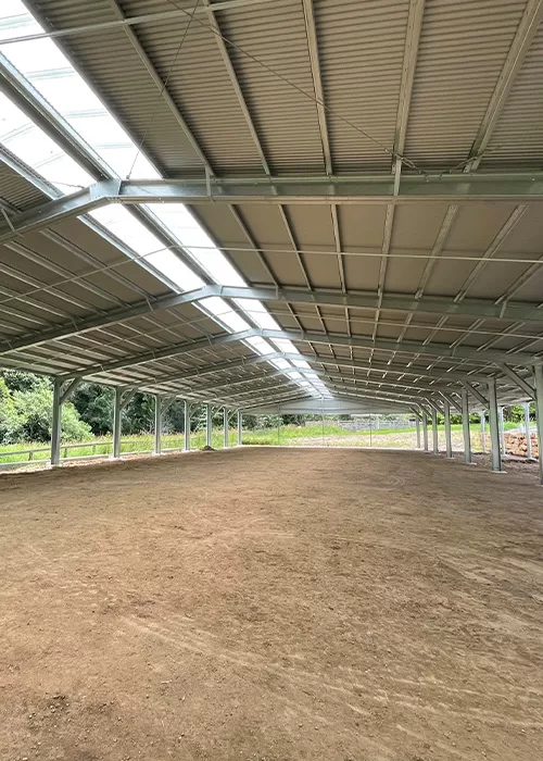 arena with wonderglass