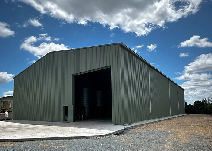 large green single door shed